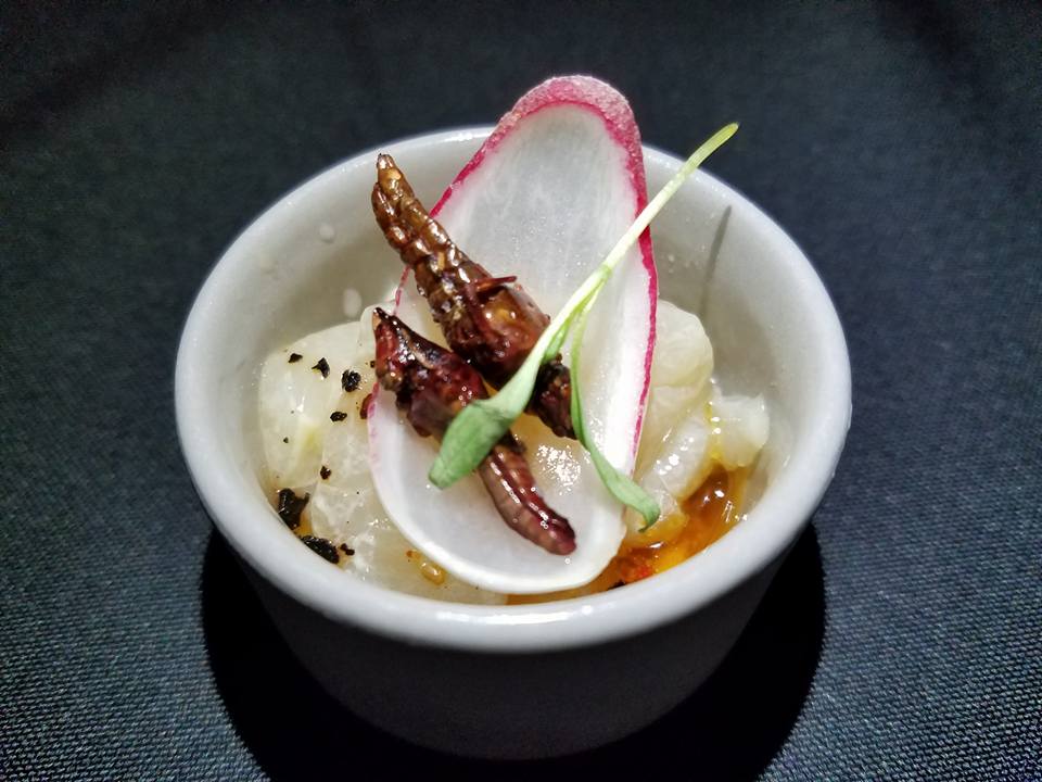 Hokkaido scallop & Lime chapulines (cricket)