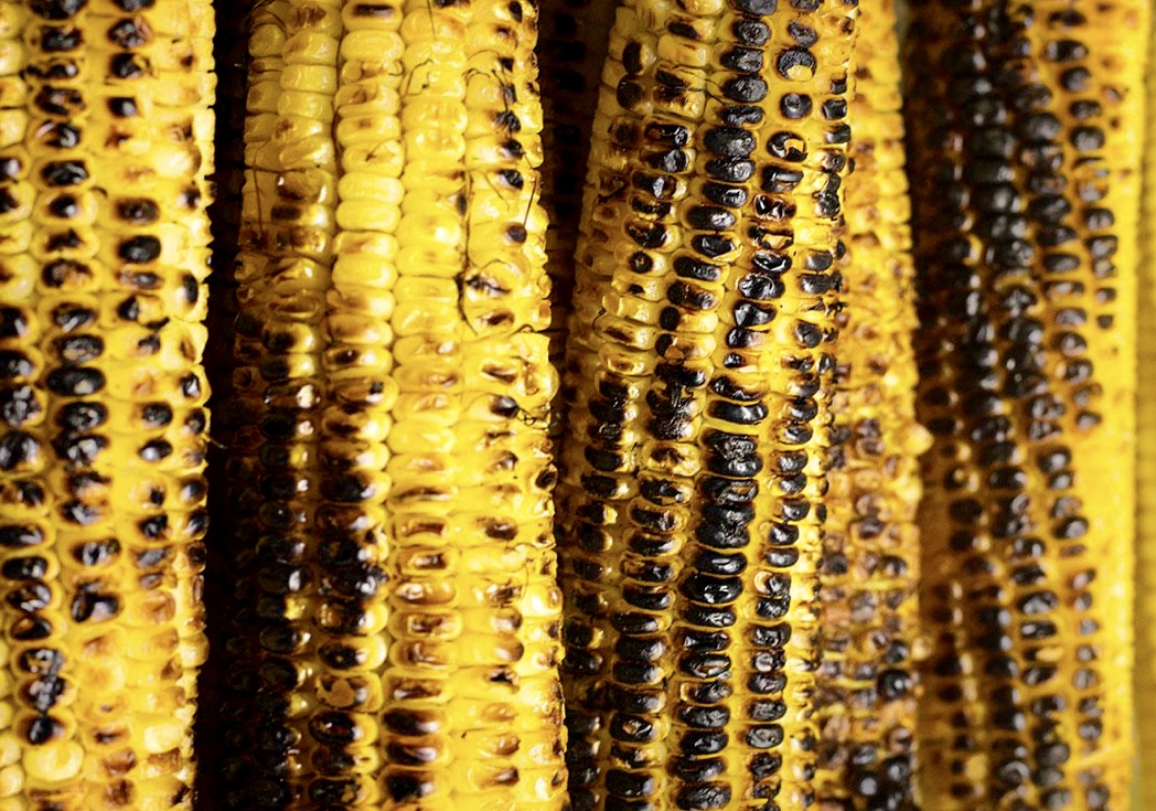 A close up of some corn on the cob