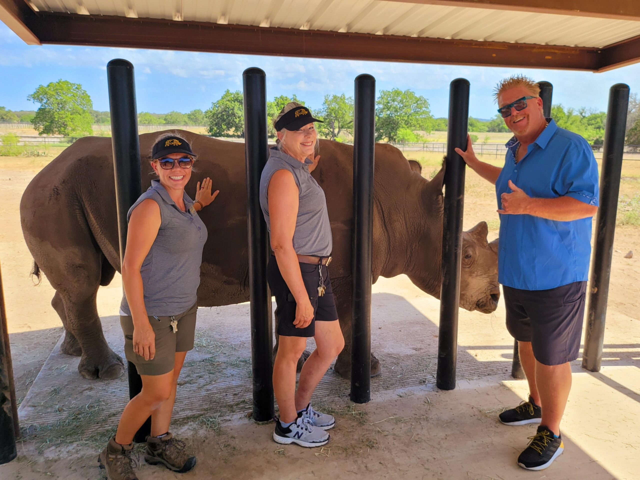 Three people standing next to a cow in an enclosure.